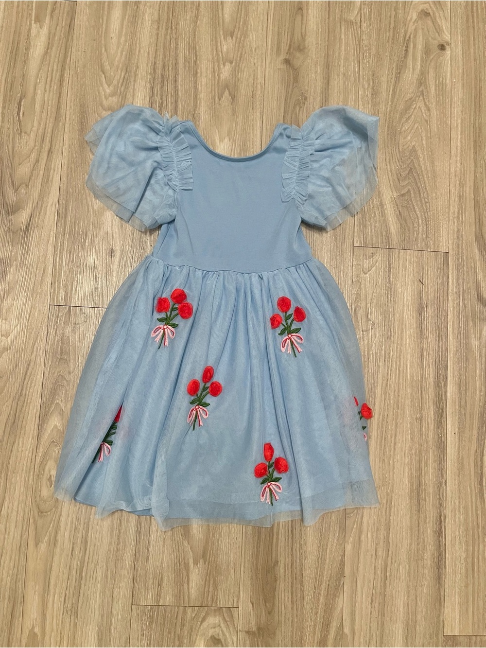 Mini Boden Light Blue Tulle Dress with Red Floral Embroidery